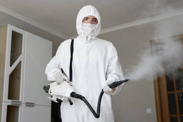 Why You Should Choose Our Mold Remediation Services in Minnehaha, WA