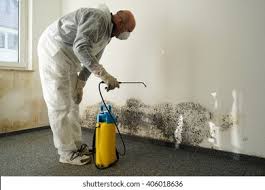 Professional Mold Removal Services in Minnehaha, WA